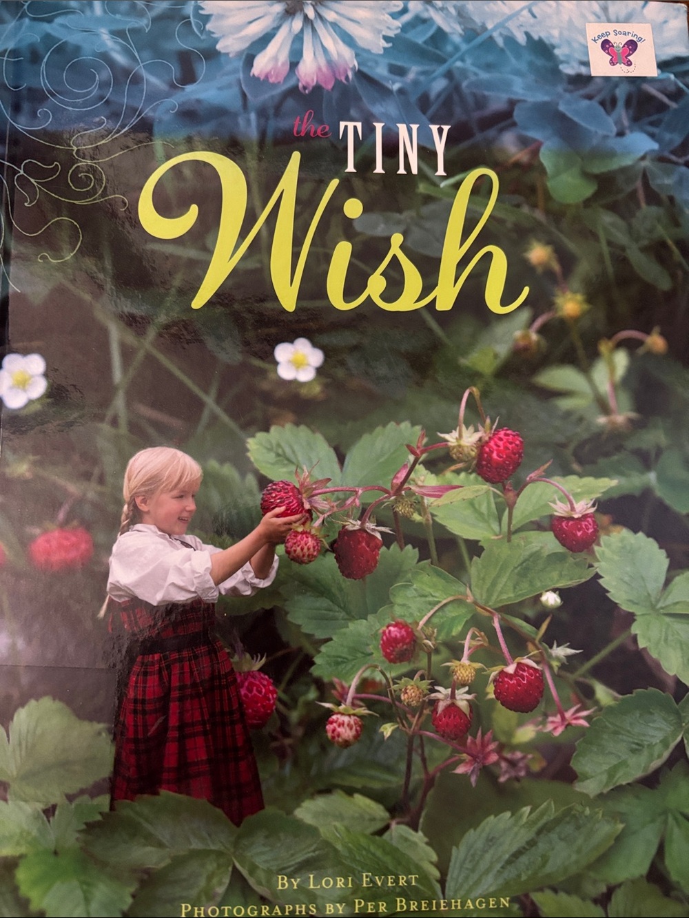 The Tiny Wish, a children's picture book written by Lori Evert